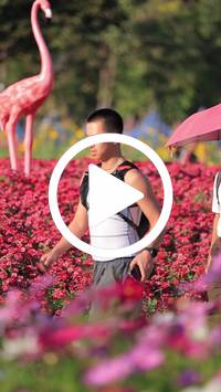 BIB:  <button type="button" onclick="openModal(27588571)" class="btn btn-primary btn-sm float-right" data-toggle="modal" data-target=".modal-high-quality">
                <i class="fa fa-download"></i> Download
                </button>